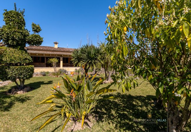 Villa en Pollensa / Pollença - La Sort Llarga by Mallorca North Villas Villa en Pollensa / Pollença - La Sort Llarga by Mallorca North Villas