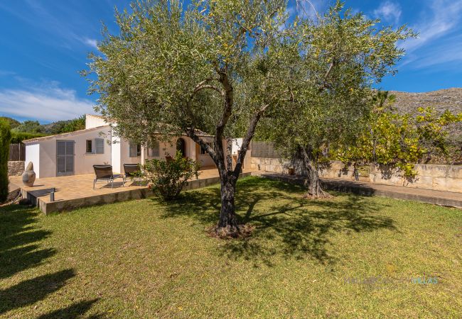 Landhaus in Pollensa - Villa Les Oliveres Petites en Pollensa by Mallorca North Villast Landhaus in Pollensa - Villa Les Oliveres Petites en Pollensa by Mallorca North Villast