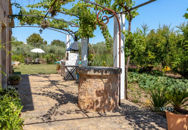 Terrace with stone well and barbecue in the garden Terrace with stone well and barbecue surrounded by Mediterranean garden.