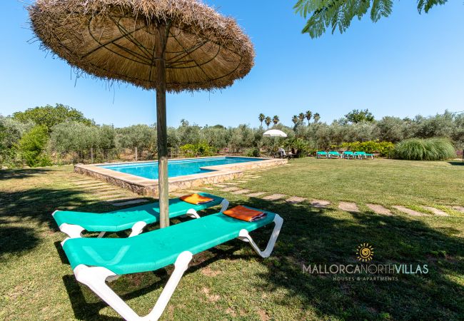 Pool with loungers and parasol in Mallorcan finca Pool with loungers and straw parasol in holiday finca Mallorca