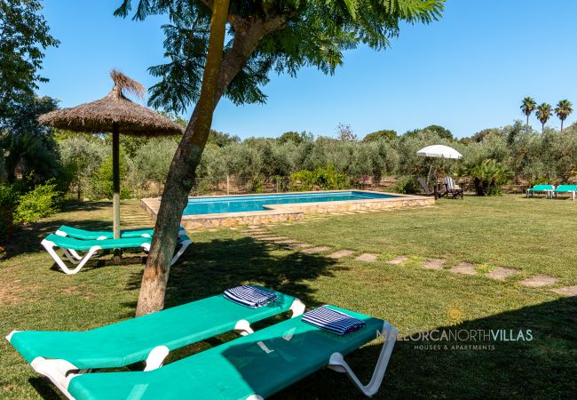 Pool with sunbeds and parasols in the garden Pool in a spacious Mediterranean garden with green sunbeds and straw and fabric parasols for relaxing.