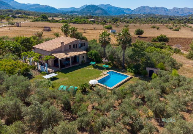 Aerial view of finca with pool and olive trees in Mallorca Rustic stone finca with pool and garden, surrounded by olive trees and mountains in the background.