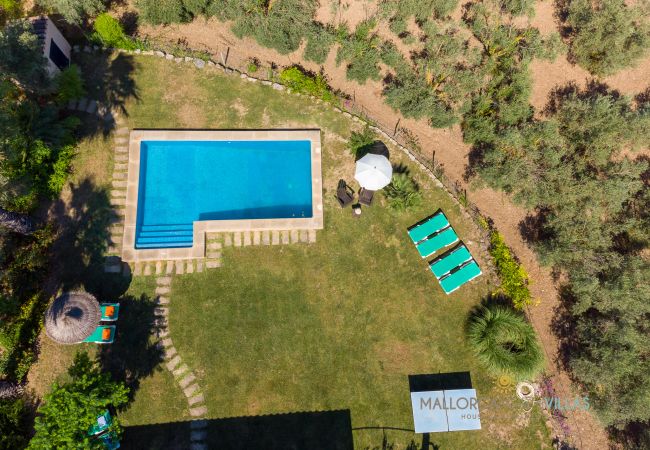 Overhead view of rectangular pool with sunbathing loungers Overhead view of rectangular pool with loungers, umbrellas and Mediterranean garden around.
