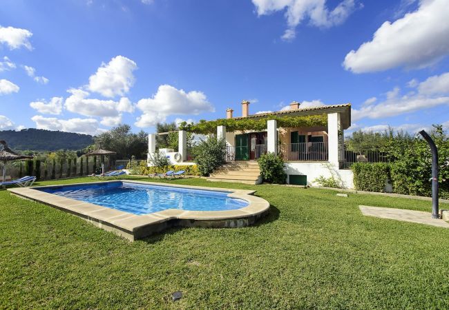 Private pool with sun loungers, umbrellas and garden at Villa Catalina near Alcudia, Mallorca
