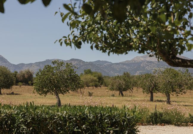 Farm stay in Inca - Finca Binissatí by Mallorca North Villas Farm stay in Inca - Finca Binissatí by Mallorca North Villas
