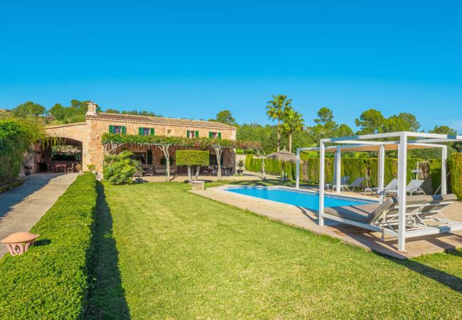 Magnifique jardin avec piscine , chaises longues et lits balinais.