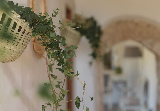 Ferme à Inca - Finca Binissatí by Mallorca North Villas Ferme à Inca - Finca Binissatí by Mallorca North Villas