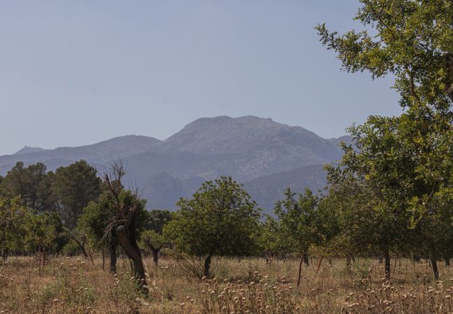 Ferme à Inca - Finca Binissatí by Mallorca North Villas Ferme à Inca - Finca Binissatí by Mallorca North Villas