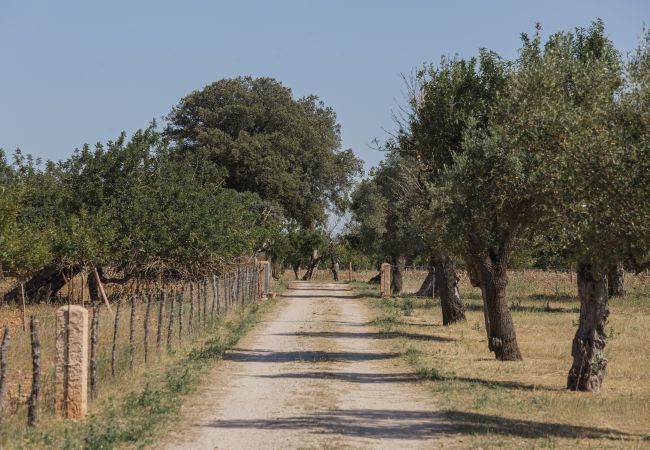 Ferme à Inca - Finca Binissatí by Mallorca North Villas Ferme à Inca - Finca Binissatí by Mallorca North Villas