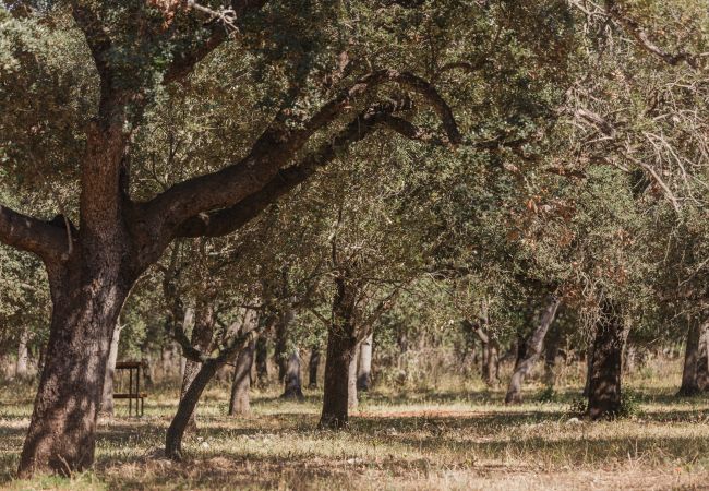 Ferme à Inca - Finca Binissatí by Mallorca North Villas Ferme à Inca - Finca Binissatí by Mallorca North Villas