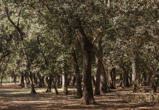 Ferme à Inca - Finca Binissatí by Mallorca North Villas Ferme à Inca - Finca Binissatí by Mallorca North Villas